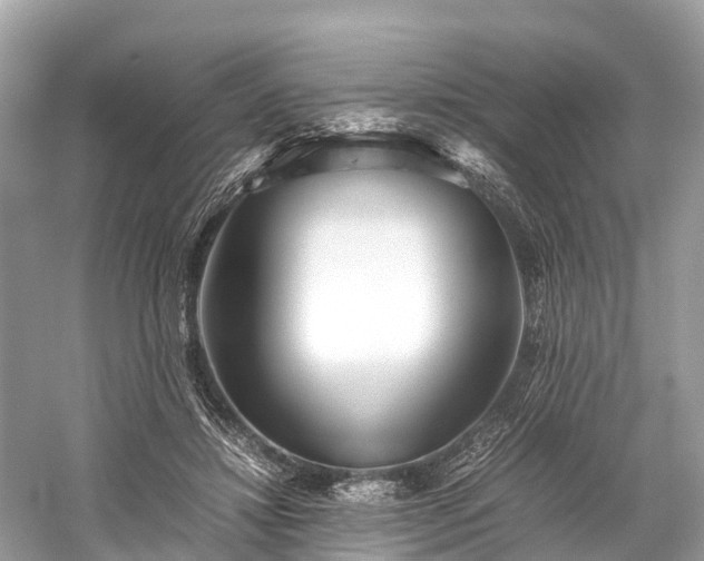 X0000059850452200510241508