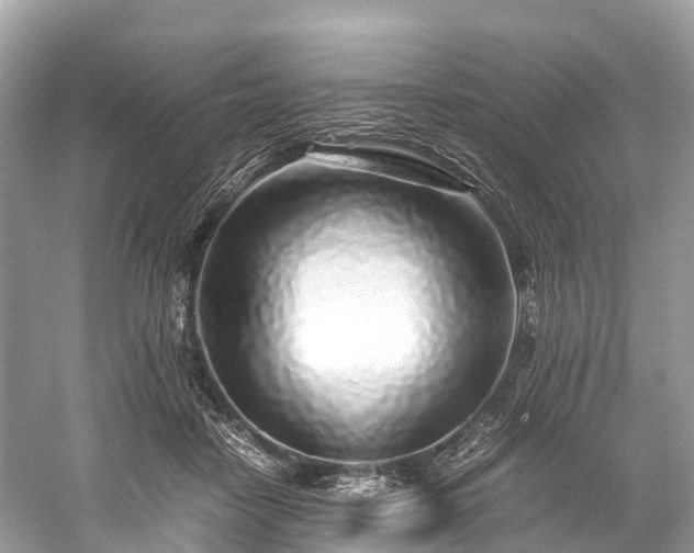 X0000059850458200510241508