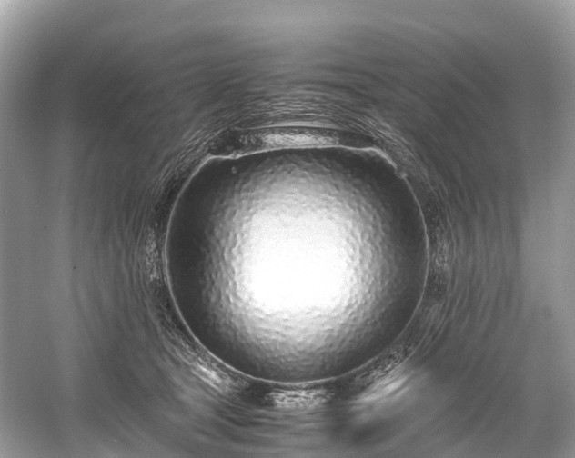 X0000059850465200510241508