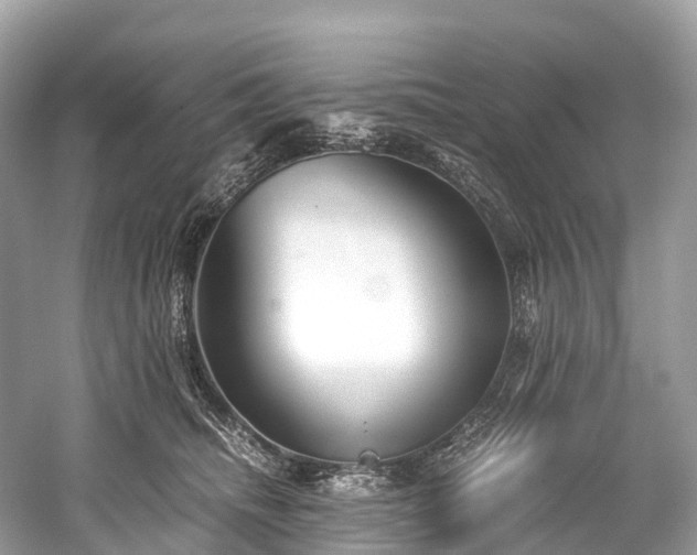 X0000059850468200510241508