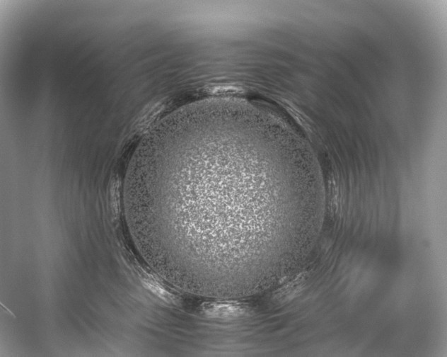 X0000059850475200510241508