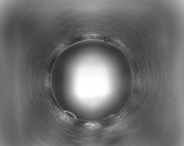 X0000059850477200510241509