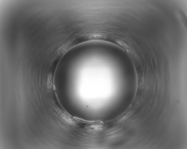 X0000059850478200510241509