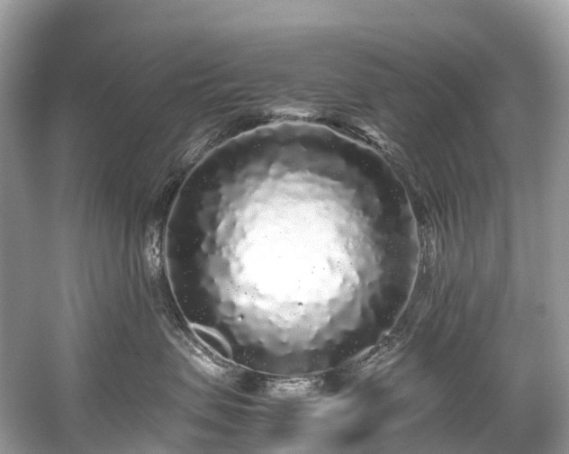 X0000059850479200510241509