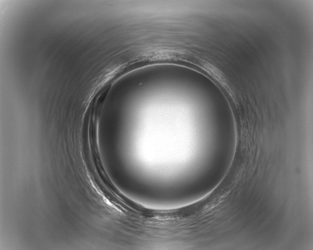 X0000059850485200510241508