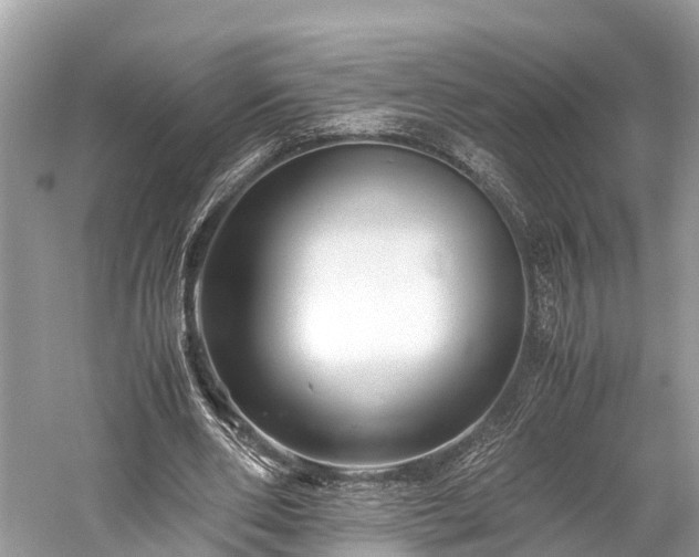 X0000059850486200510241508