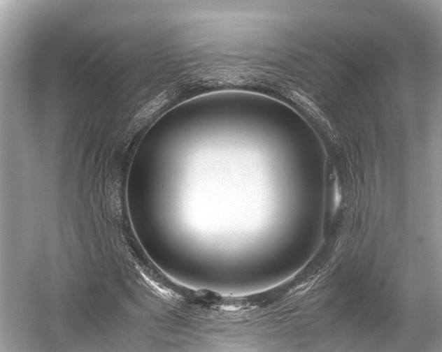 X0000059850489200510241508