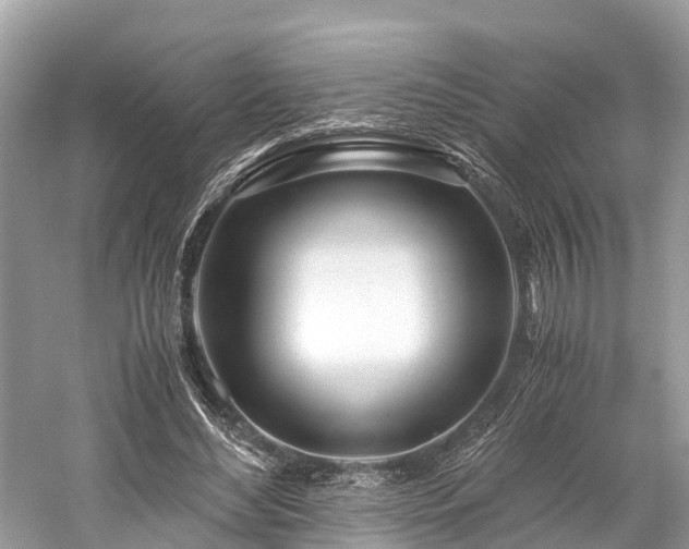 X0000059850492200510241508