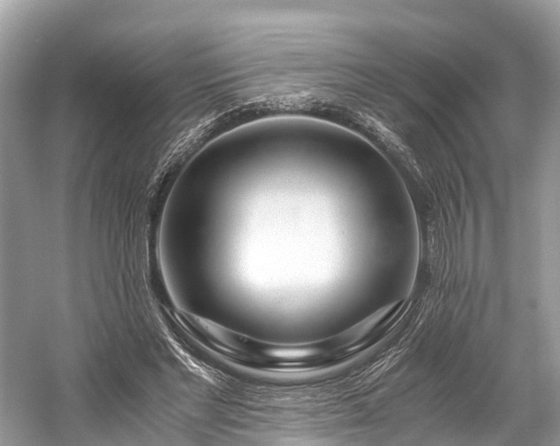 X0000059850493200510241508