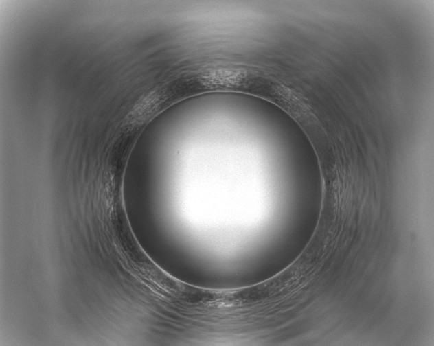 X0000059850498200510241507