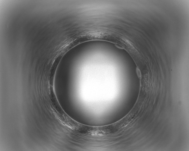 X0000059850500200510241507