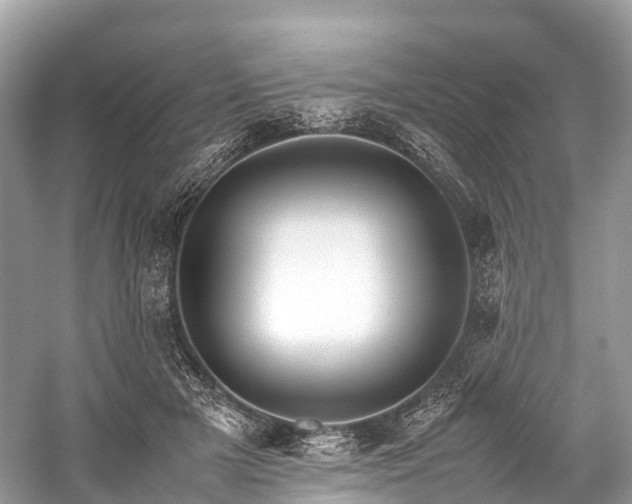 X0000059850505200510241507