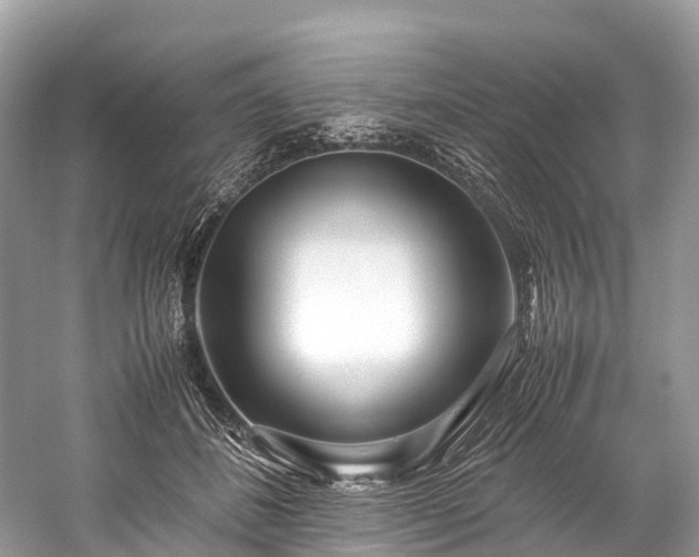 X0000059850508200510241507