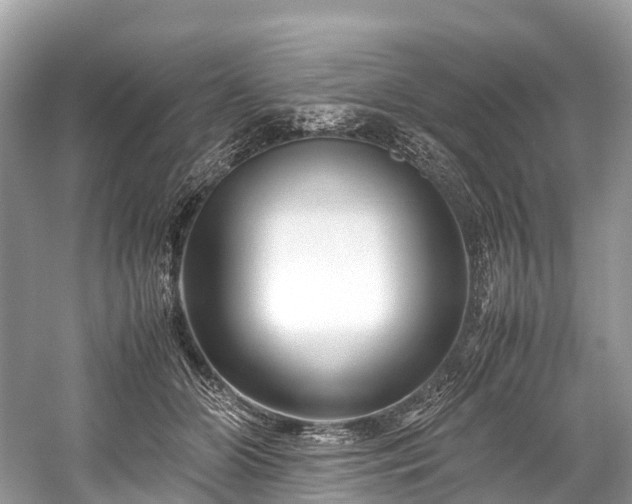 X0000059850510200510241507