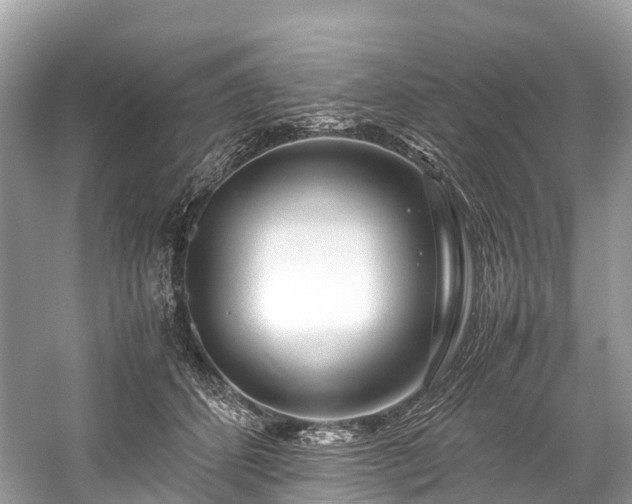 X0000059850512200510241507