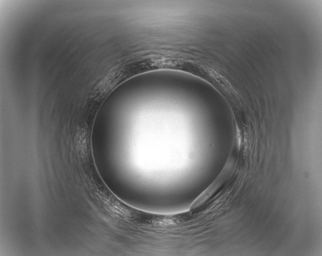 X0000059850513200510241507