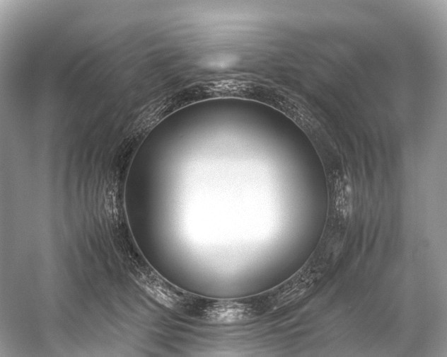 X0000059850514200510241507