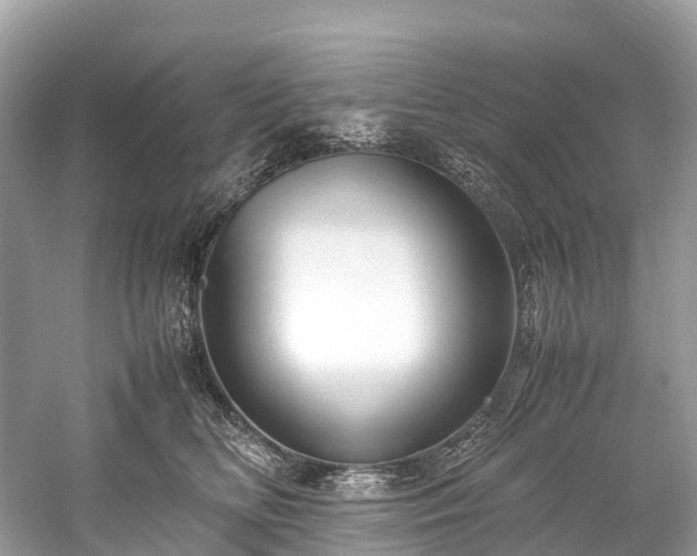 X0000059850518200510241507