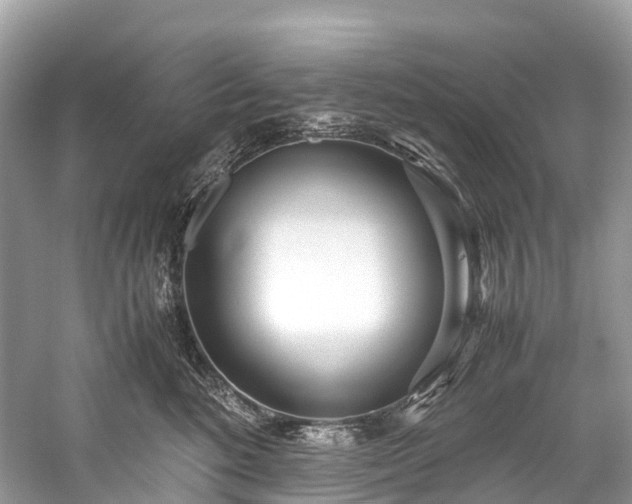 X0000059850520200510241507
