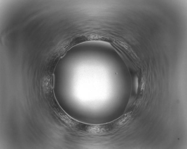 X0000059850521200510241507