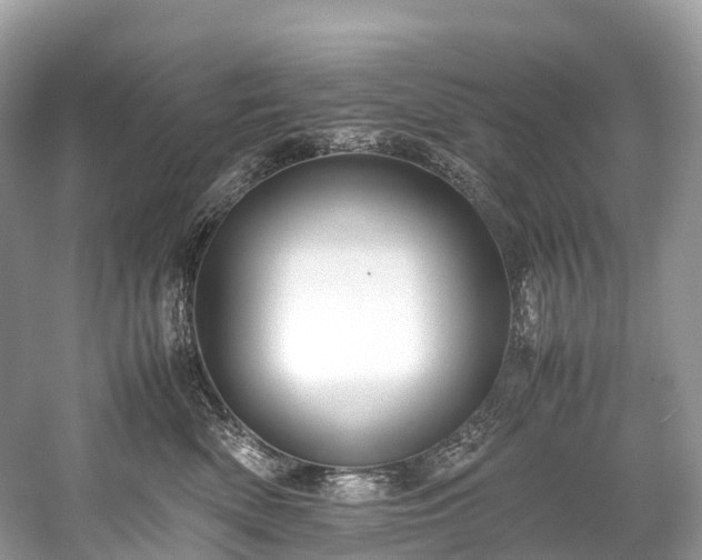 X0000059850522200510241507