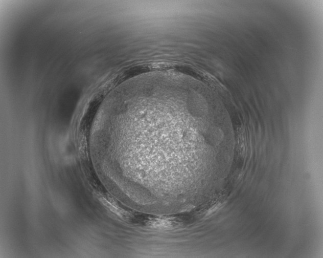 X0000059850523200510241507