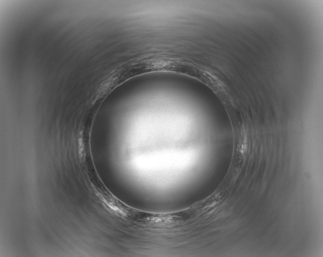 X0000059850524200510241507