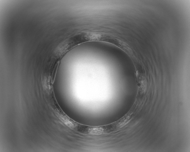 X0000059850525200510241507