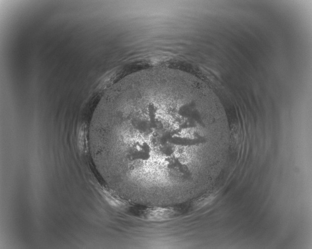 X0000059850527200510241507
