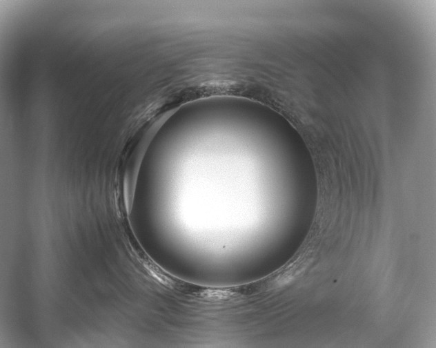 X0000059850528200510241507