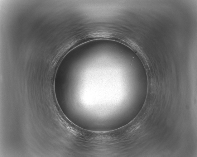 X0000059850529200510241506