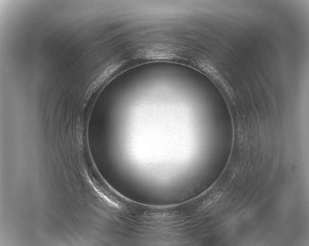 X0000059850533200510241506