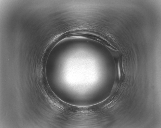X0000059850540200510241506