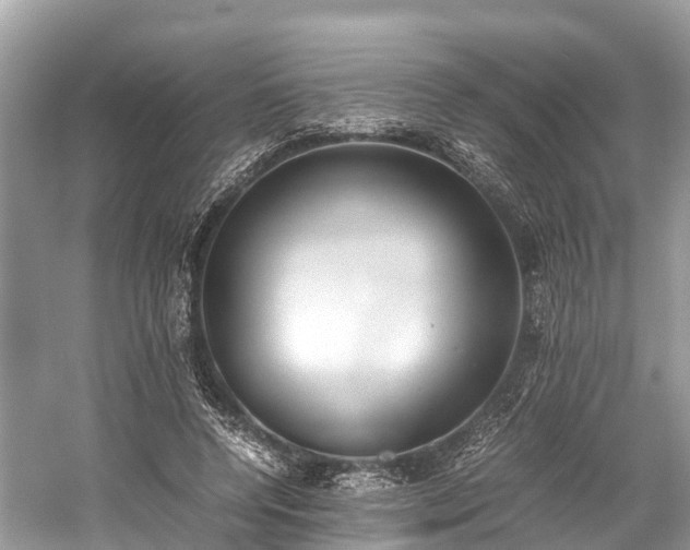 X0000059850544200510241506