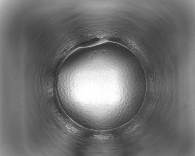 X0000059850545200510241506