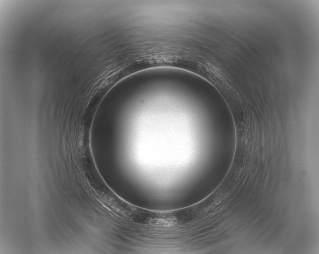 X0000059850548200510241506
