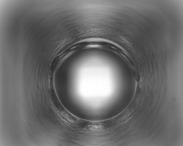 X0000059850552200510241507