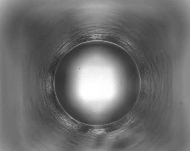 X0000059850554200510241507