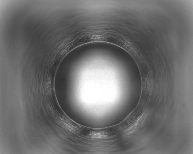 X0000059850557200510241507