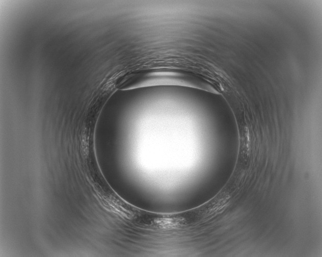 X0000059850558200510241507