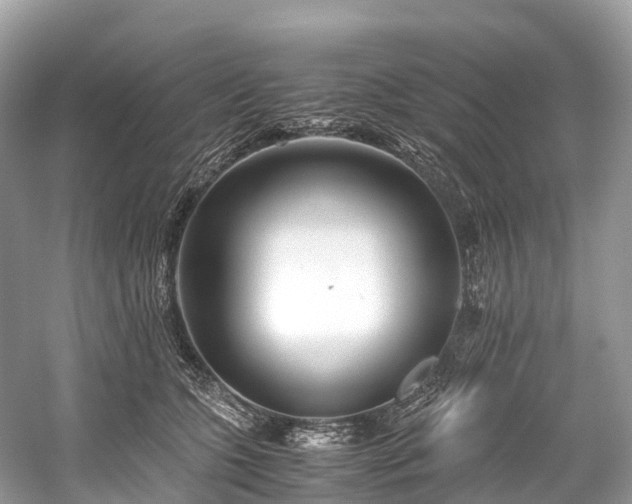 X0000059850563200510241507