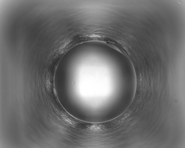 X0000059850566200510241507