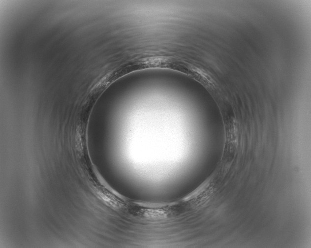 X0000059850572200510241507