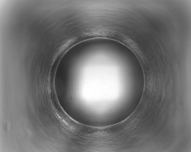 X0000059850578200510241506