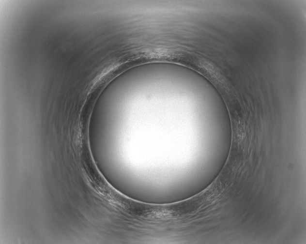 X0000059850583200510241506