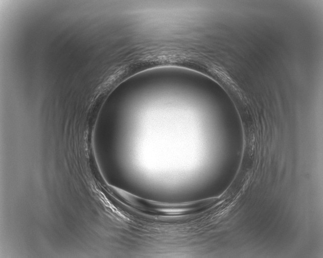 X0000059850585200510241506
