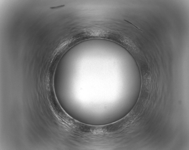 X0000059850587200510241506