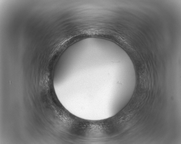 X0000059850592200510241506