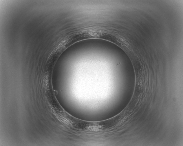X0000059850595200510241506