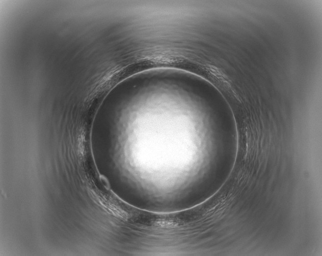 X0000059850596200510241506